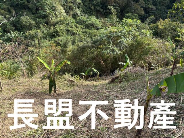 台中山坡地-4