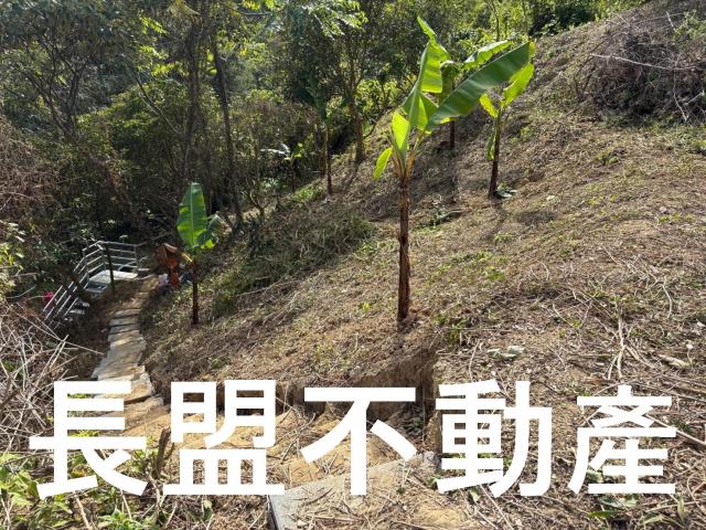 台中山坡地-5