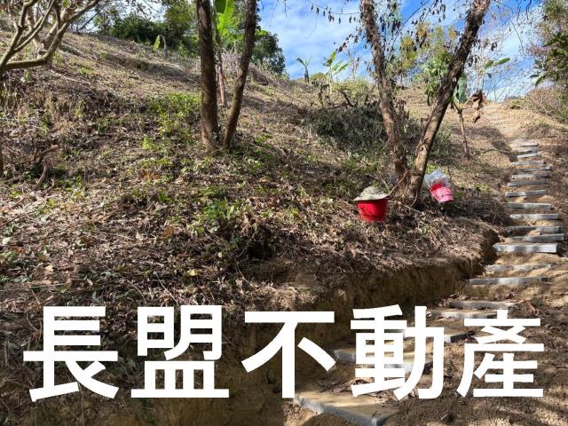台中山坡地-6
