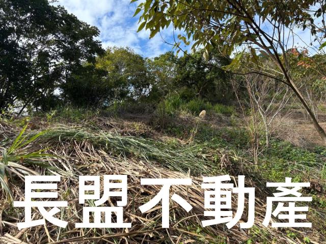 台中山坡地-7