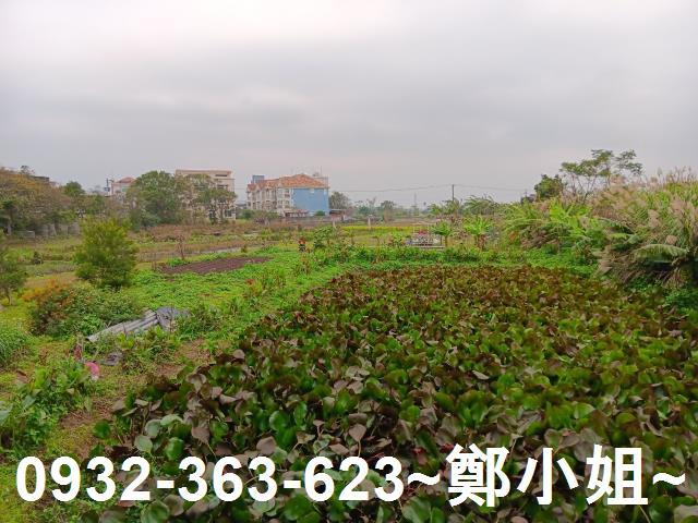 大溪農地-6