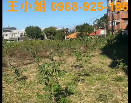 桃園大溪農地-2