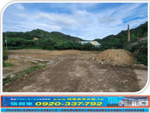 鶯歌可分割丁建農