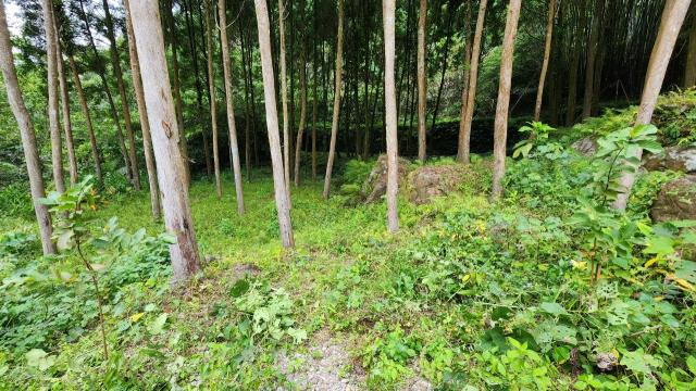 新竹農地-8