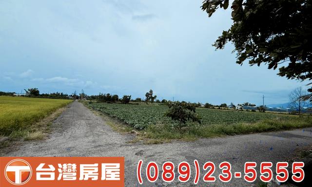 台東台東市農地-6