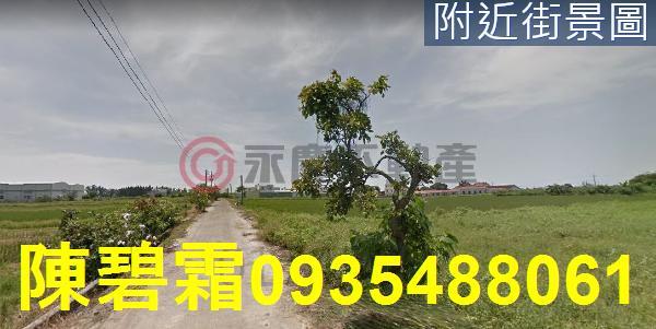 台南善化農地-1