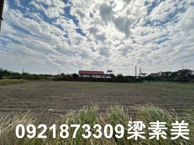 麻豆農地-0