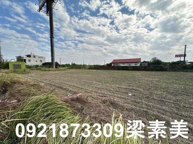 麻豆農地-3