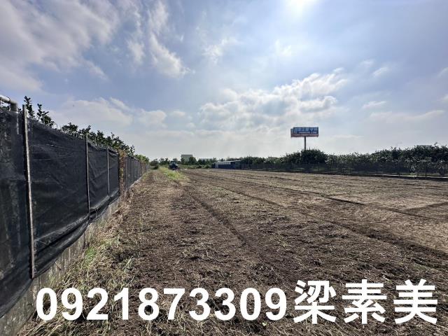 麻豆農地-3