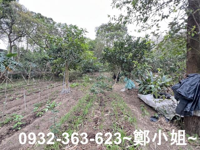 觀音農地-5