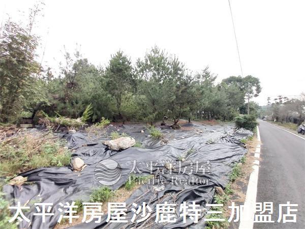 南投山坡地-7