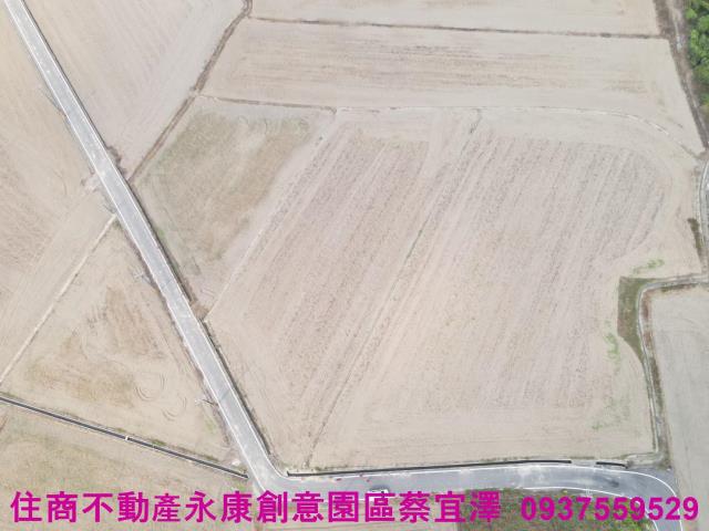台南官田農地-4