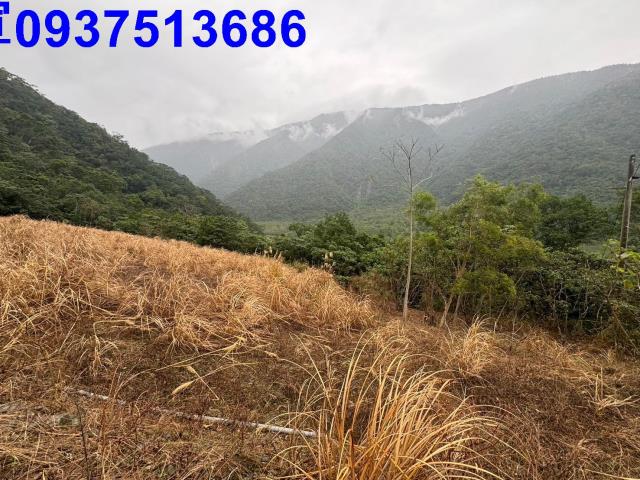宜蘭南澳農地-5