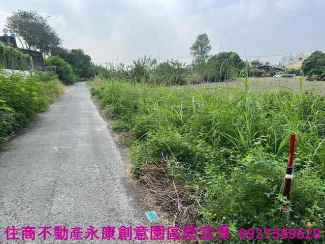 台南新營農地-3