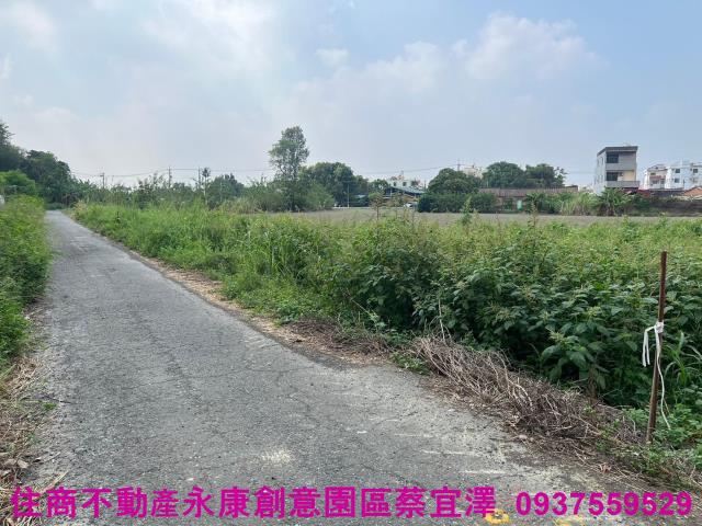 台南新營農地-4