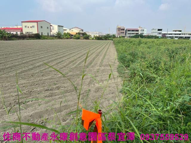 台南新營農地-5