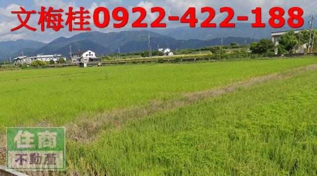 宜蘭三星農地-0