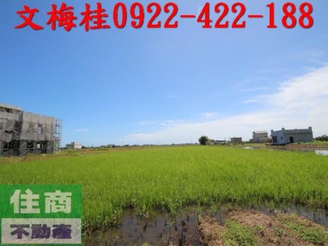 宜蘭礁溪農地-0