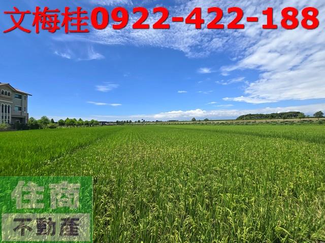 宜蘭壯圍農地-0