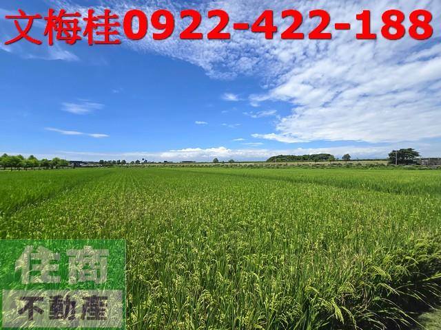 宜蘭壯圍農地-1