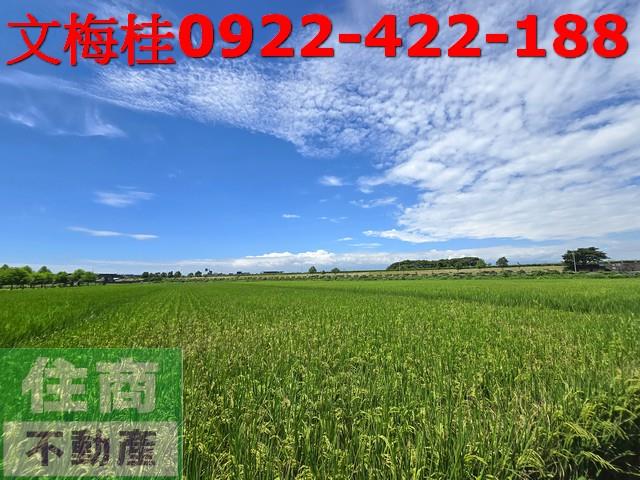 宜蘭壯圍農地-2