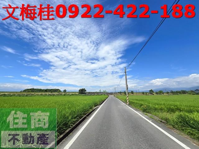 宜蘭壯圍農地-7