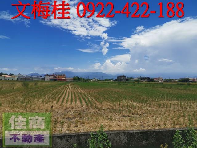 宜蘭土地宜蘭農地員山農地壯圍農地