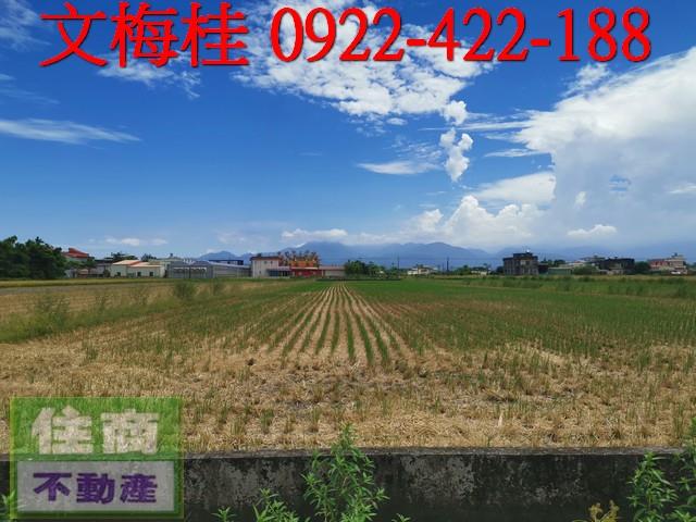 宜蘭壯圍農地-1