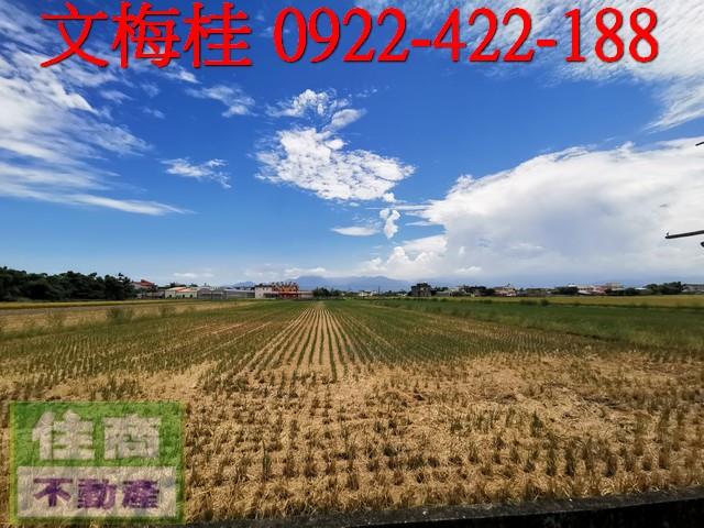 宜蘭壯圍農地-4