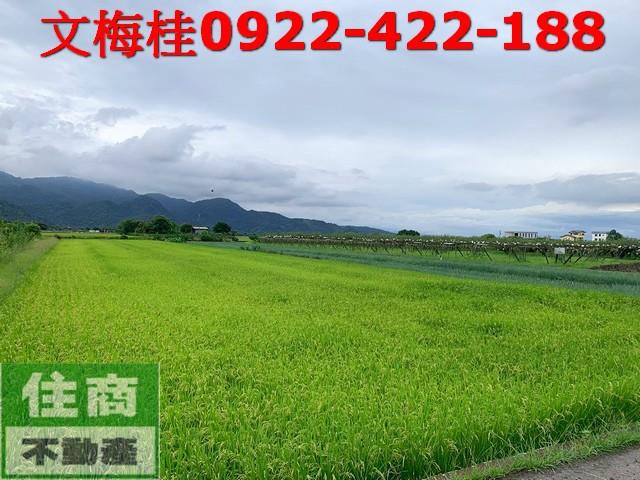 宜蘭三星農地-0