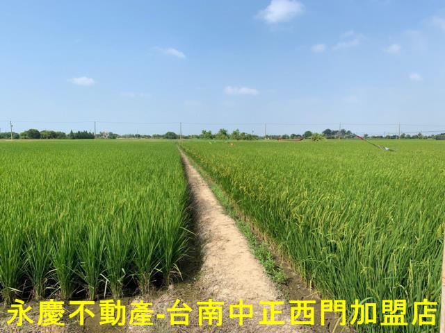 台南農地-7