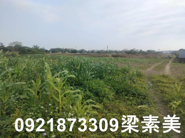 歸仁農地-1