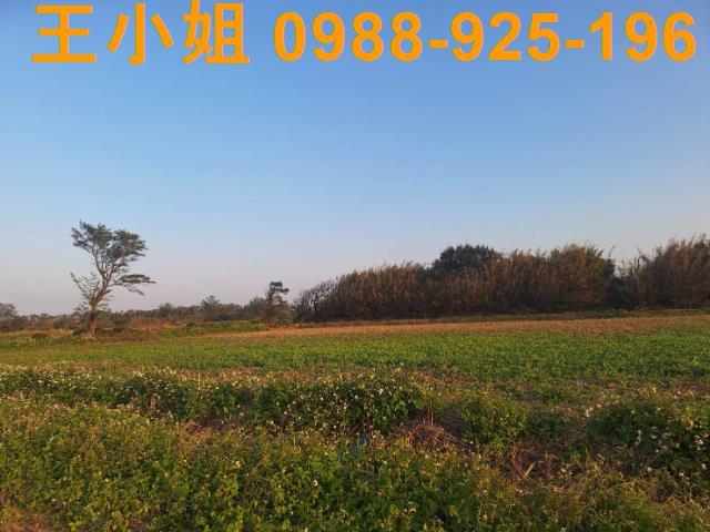 桃園觀音農地-10