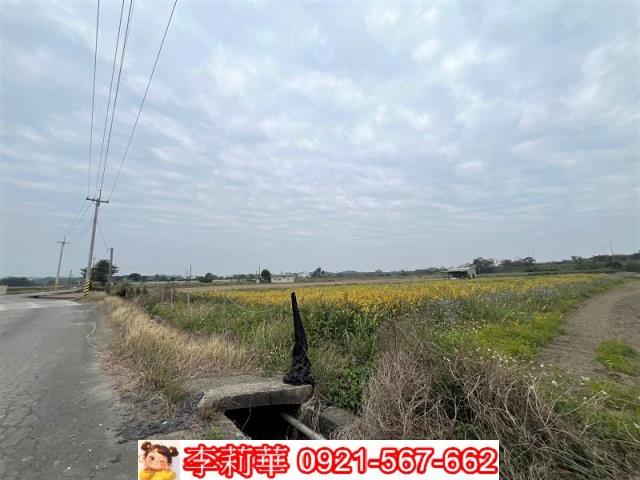 官田農地-6