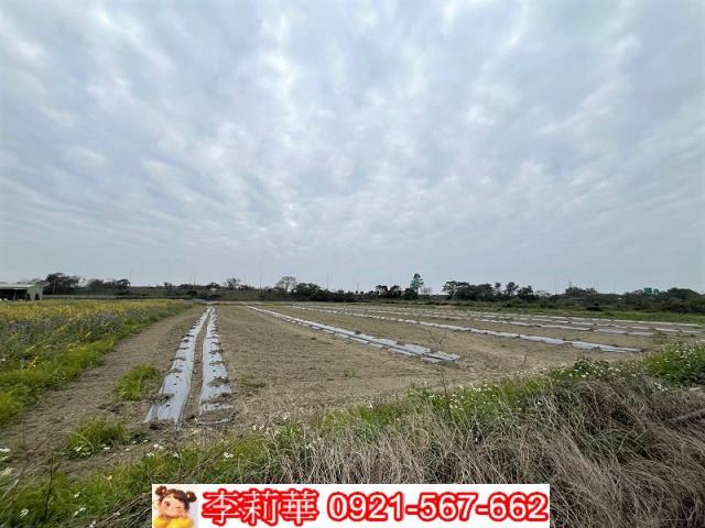 官田農地-8