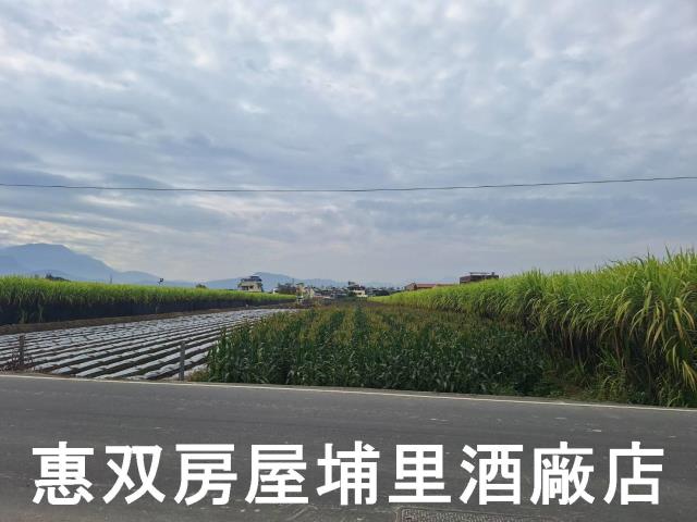 南投埔里農地-0