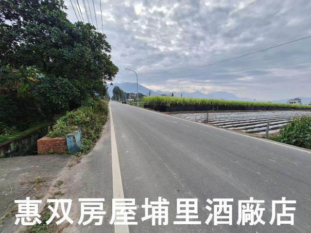 南投埔里農地-2