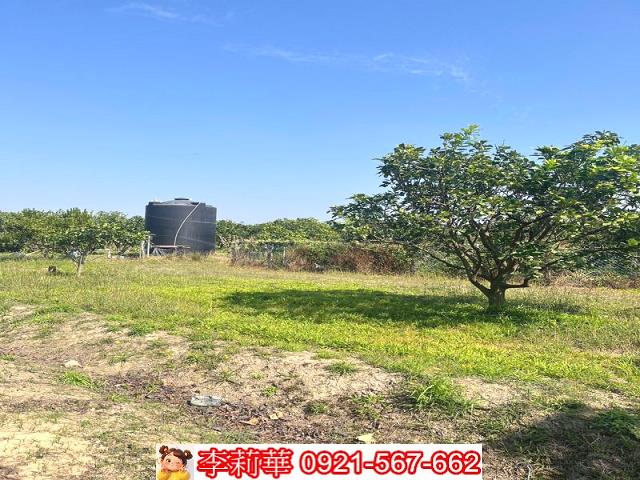 官田農地-1