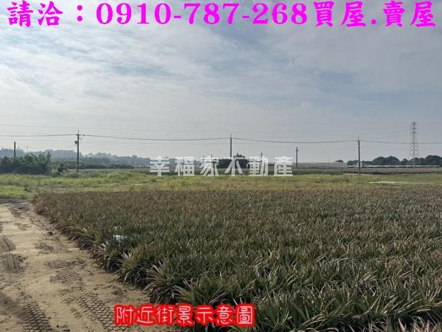 山上農地-10