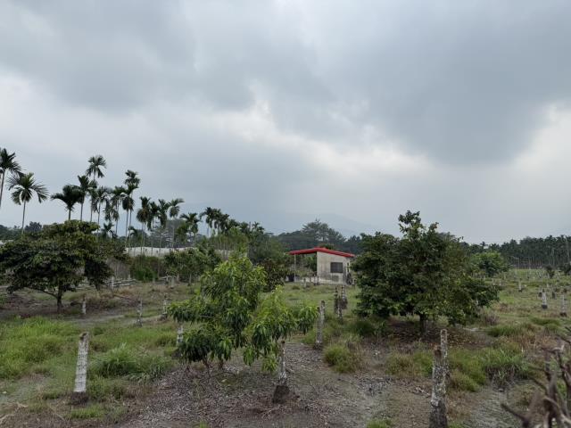 鹽埔農地-4