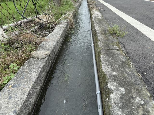 鹽埔農地-8