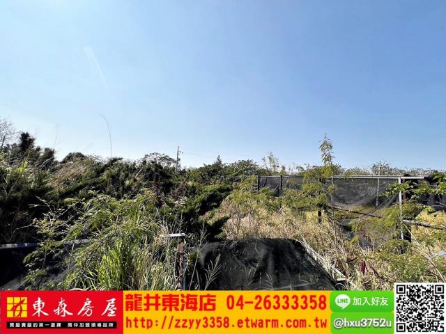 龍井旱-4