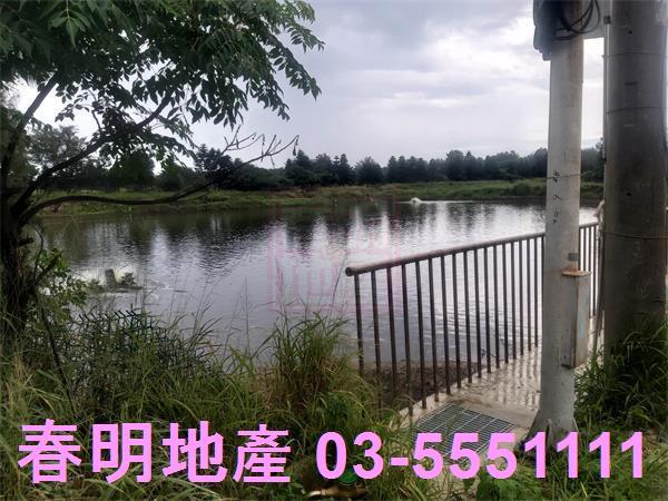 新竹竹北養殖地-5
