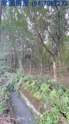 長治農地-3