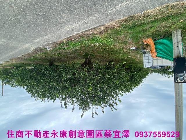 台南麻豆農地-2
