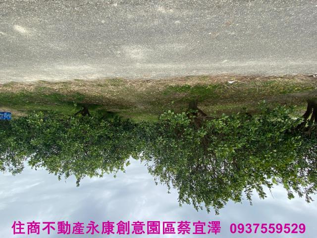 台南麻豆農地-3