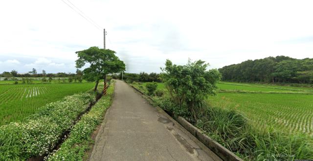 觀音農地-3