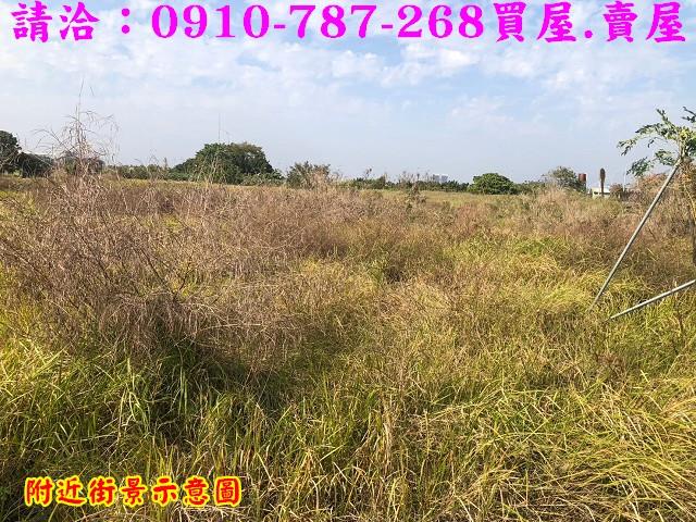 台南善化農地-7