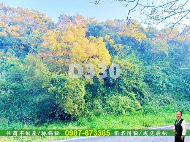 台中清水保護地-6