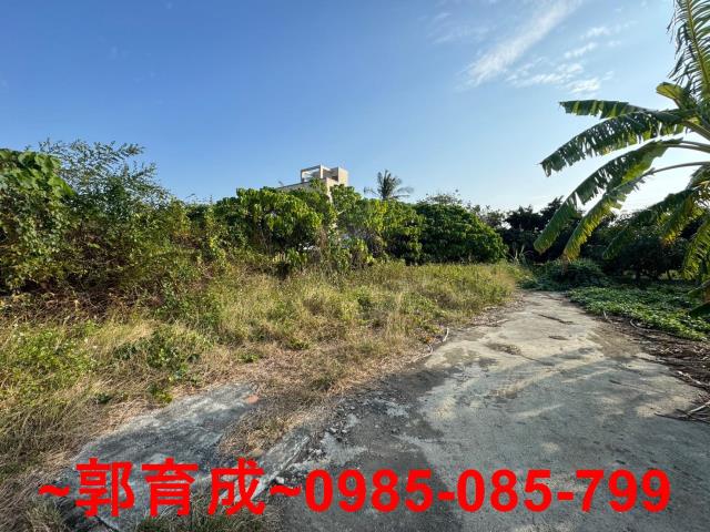 嘉義民雄建地-7